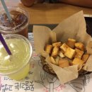 못말리는 고양이 이미지