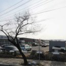 신장점현대자동차
