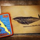 바하캘리포니아 이미지