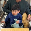 비즈레지던스 | 아기랑 4박5일 푸켓 대가족여행 (1) / 비행, 판푸리 0.5박, 코트야드바이메리어트 빠통