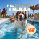 향남중앙약국 이미지