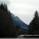 (주)굿모닝마을 이미지