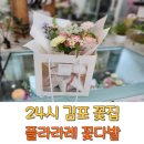 플라라레 이미지