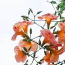 효사랑 약국 이미지