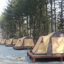 솔향가득서울캠핑장 이미지