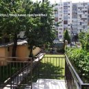 도도민박 이미지