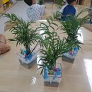 아이와 함께 생활 원예 이미지