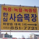 뒷골목장 네이버블로그