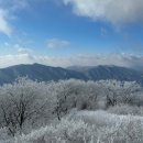 28인승 리무진운행 출발확정 [울산안내산악회] 2월9일(일) 강원도 영월 백덕산 눈꽃산행 블랙야크100대명산 이미지