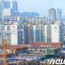 트럼프부동산중개 이미지