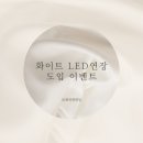 로래쉬앤네일