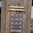 까막골식당 | [경기/양주] 시원한 동치미가 일품 '까막골동치미막국수'