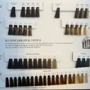 아멘천연염색헤어샵 | 결혼준비💍 | 마곡 미용실 오드헤어 마곡점 염색 후기｜웨딩 촬영 염색 | 아베다 천연염색