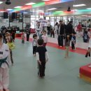 경희영어태권도 이미지