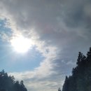 남원읍-117 이미지