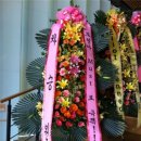 힘내라고 이미지