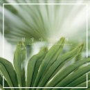 문막공단길 이미지