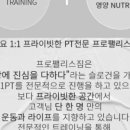 팰리스짐 이미지