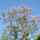 남악사지 이미지