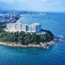 로얄게임방 이미지