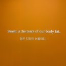 바비테니스 - 강동구 올림픽로 630 | 강동테니스 레슨 바비테니스 천호점 실내 연습장 추천