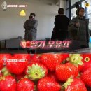 올리브세차장 이미지