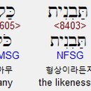 우상니트 이미지