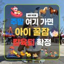 렛츠런파크 부산경남 분수광장 옆 | 주말 아이랑 갈만한 곳 추천 렛츠런파크 부산경남 꿀팁 3가지