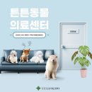 아이튼튼동물병원 이미지