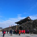 해미-비상-5 이미지