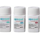 청라호수동물메디컬센터 이미지