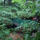 삼태기길 이미지