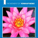 모멘트 이미지
