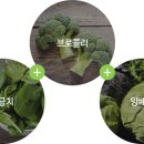 삼성 그린푸드 네이버블로그
