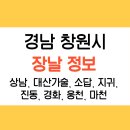 가술시장 이미지
