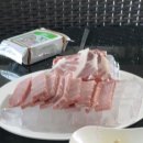 포비라이프 이미지