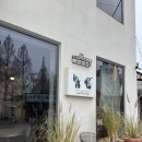 석현길 | 담양 '카페드존아웃' 방문기