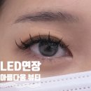 알엠RM뷰티&아카데미 | [안산] 유지력 미침! 아름다움 뷰티&아카데미 : 애니메래쉬 연장