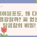 세이블포도, 왜 다들 열광할까? 씨 없는 달콤함의 비밀!
