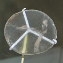 수정광학안경 이미지