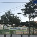 서부교육청 | [서울서부교육청 영재원 후기] 초4 수 과융합분야 합격후기