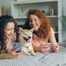 울디 동물병원 이미지