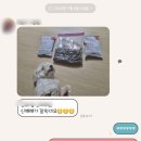 정든동물병원 | 우리 뭉이 췌장염 일기 (feat.정든동물병원 방문 후기)