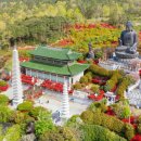 남미륵사 이미지