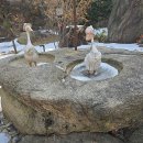 노틀담수녀회 이미지