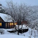 나는숲이다 이미지