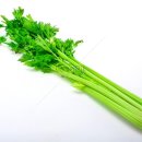 잠실나루 이미지