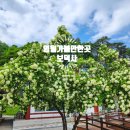 관음어린이집 | 영월가볼만한곳 장릉 인근 보덕사 여행