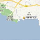 제주도횟집 대포해송횟집