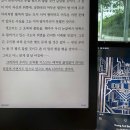 월곡시장 후문 | 25년 8월 캐비넷 Hey summer 인사할 때야